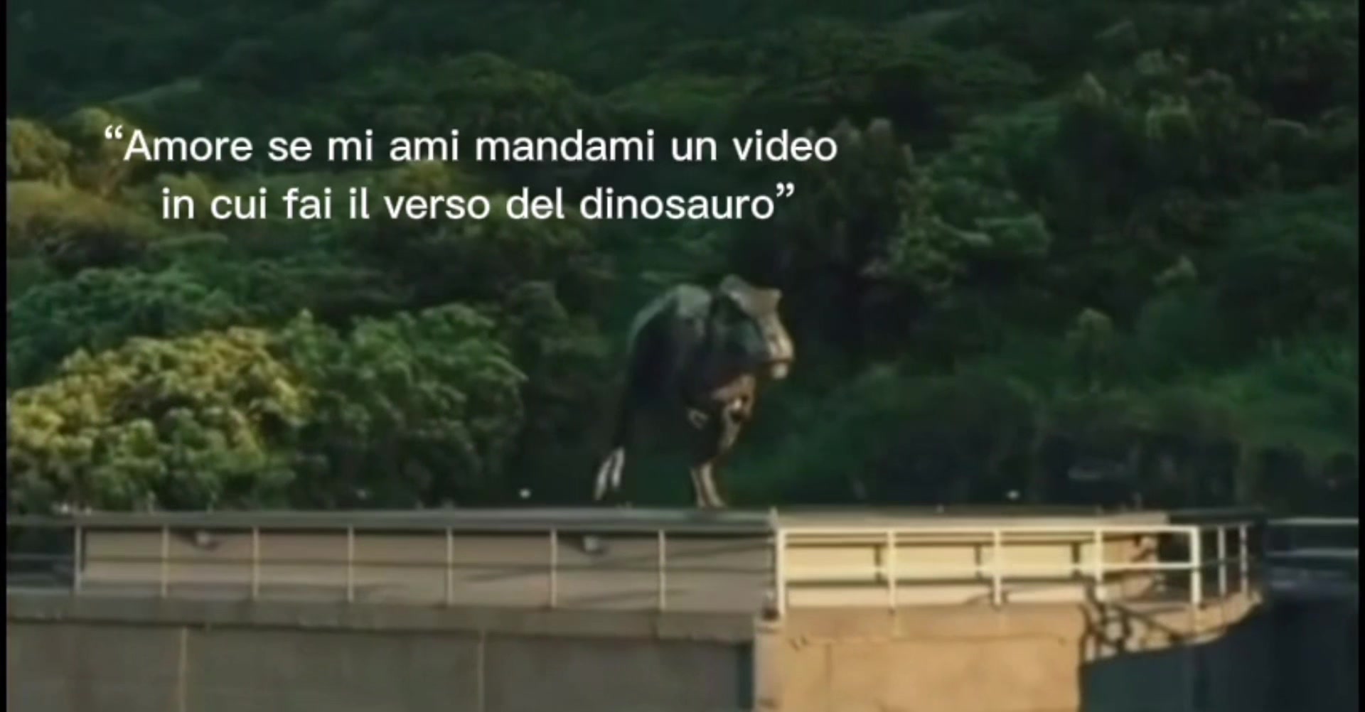 @Valeria Pagliocca