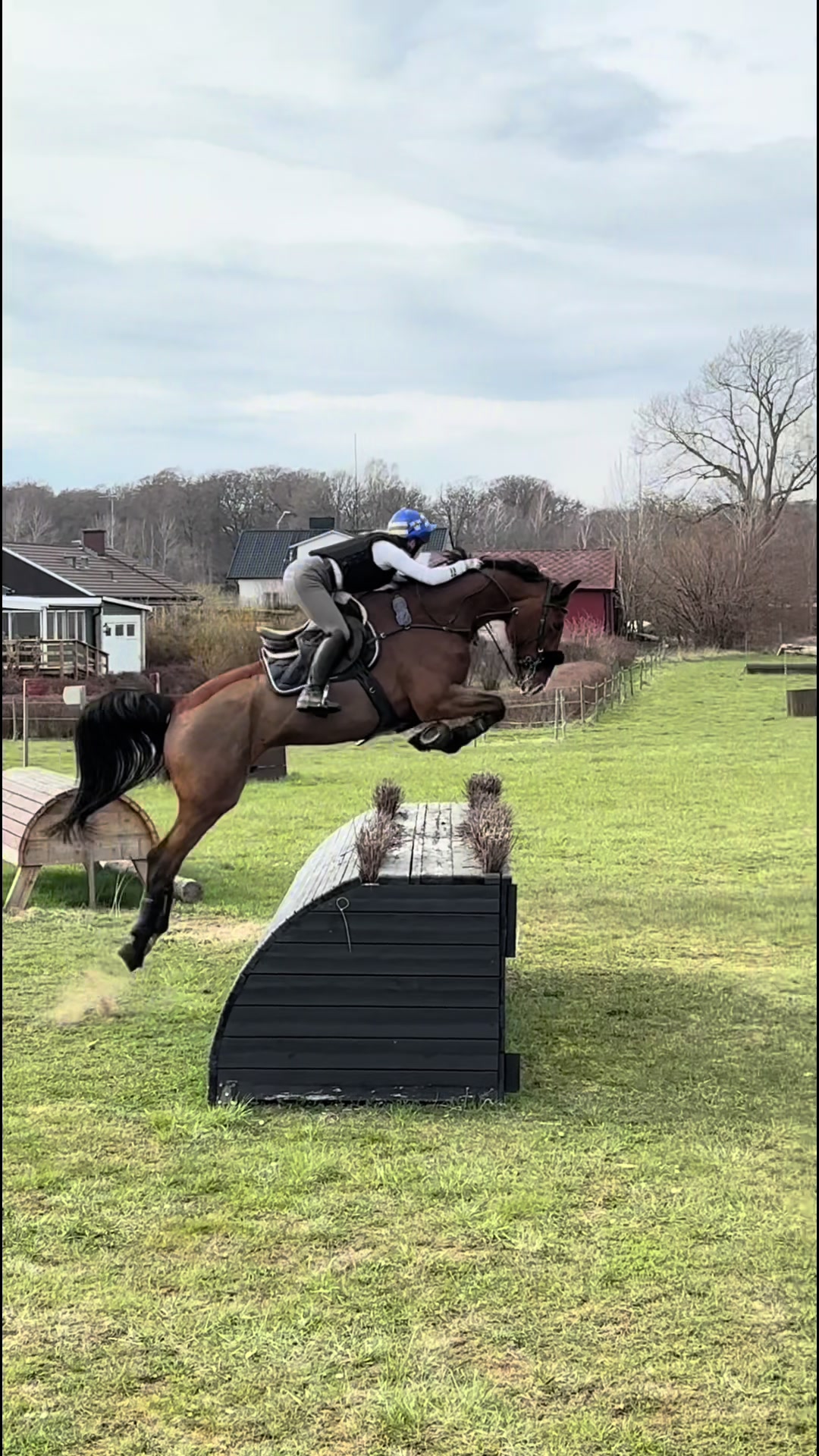 @Alva Skogđ€