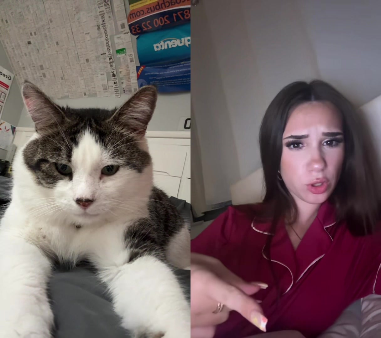 @BrodiesBus.