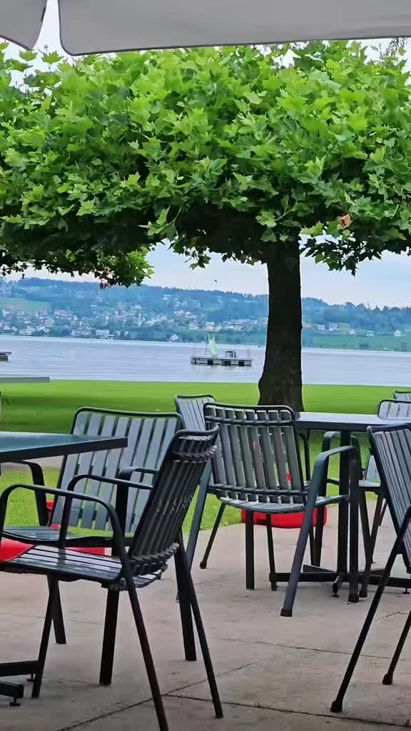 @Manuel Barbosa🇵🇹 🇨🇭
