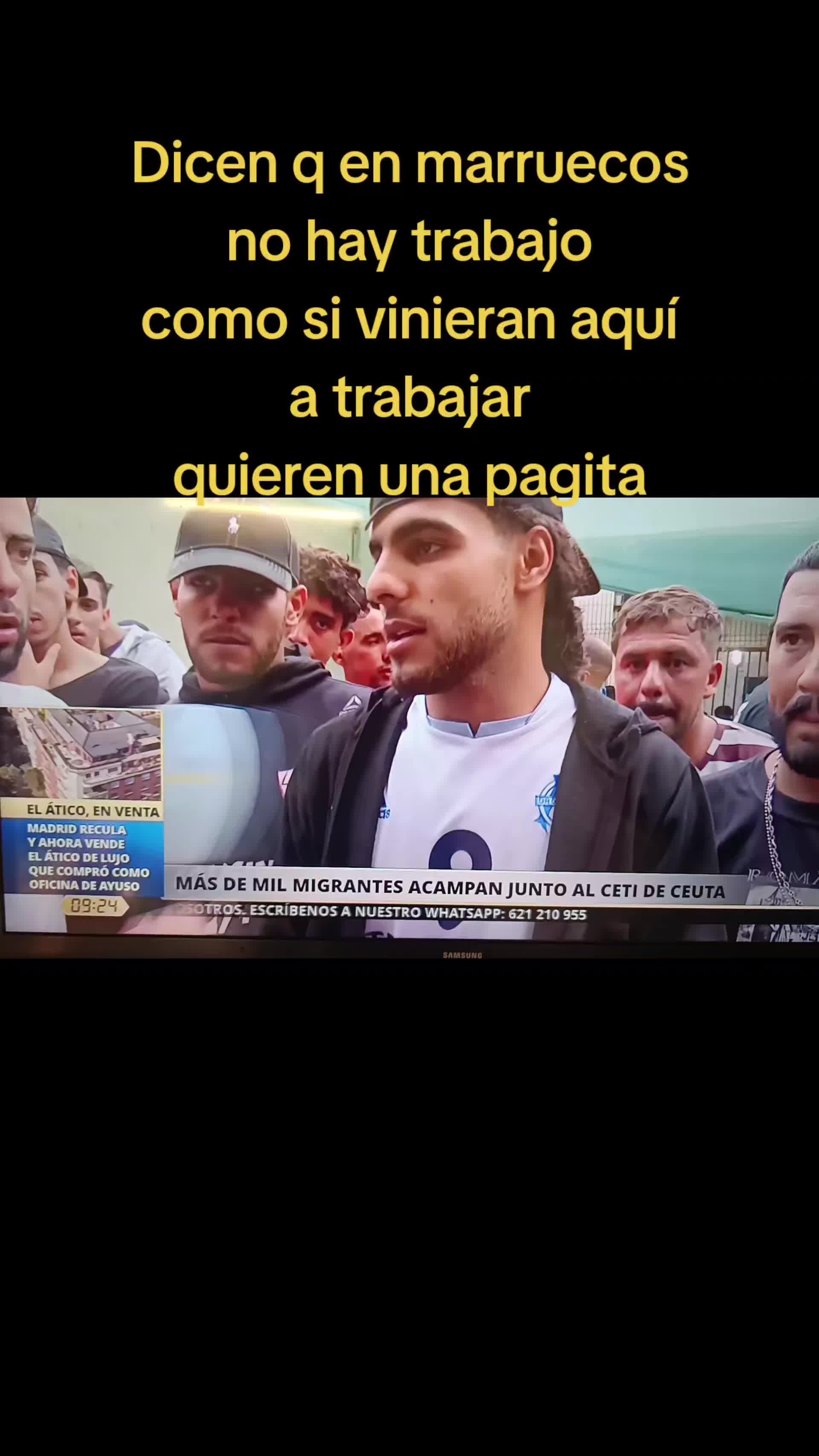 @quikotecrow