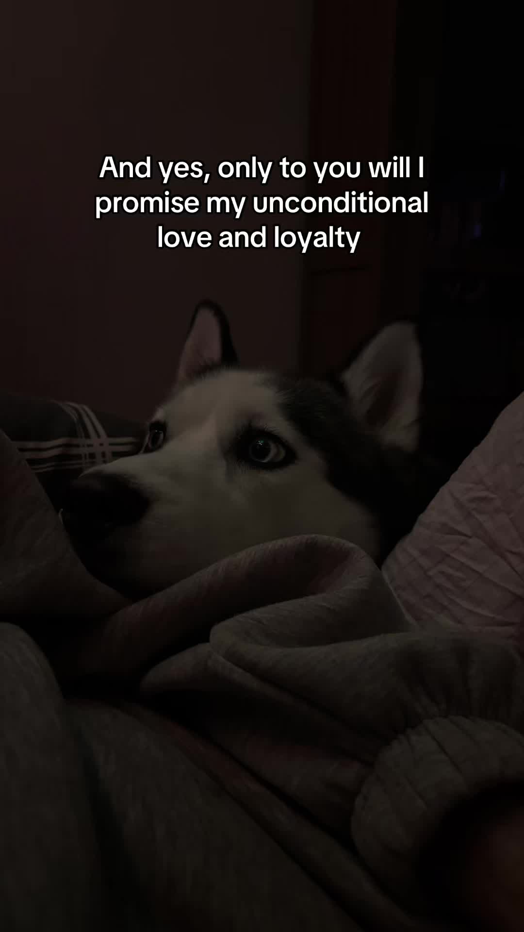 @irinaarosu
