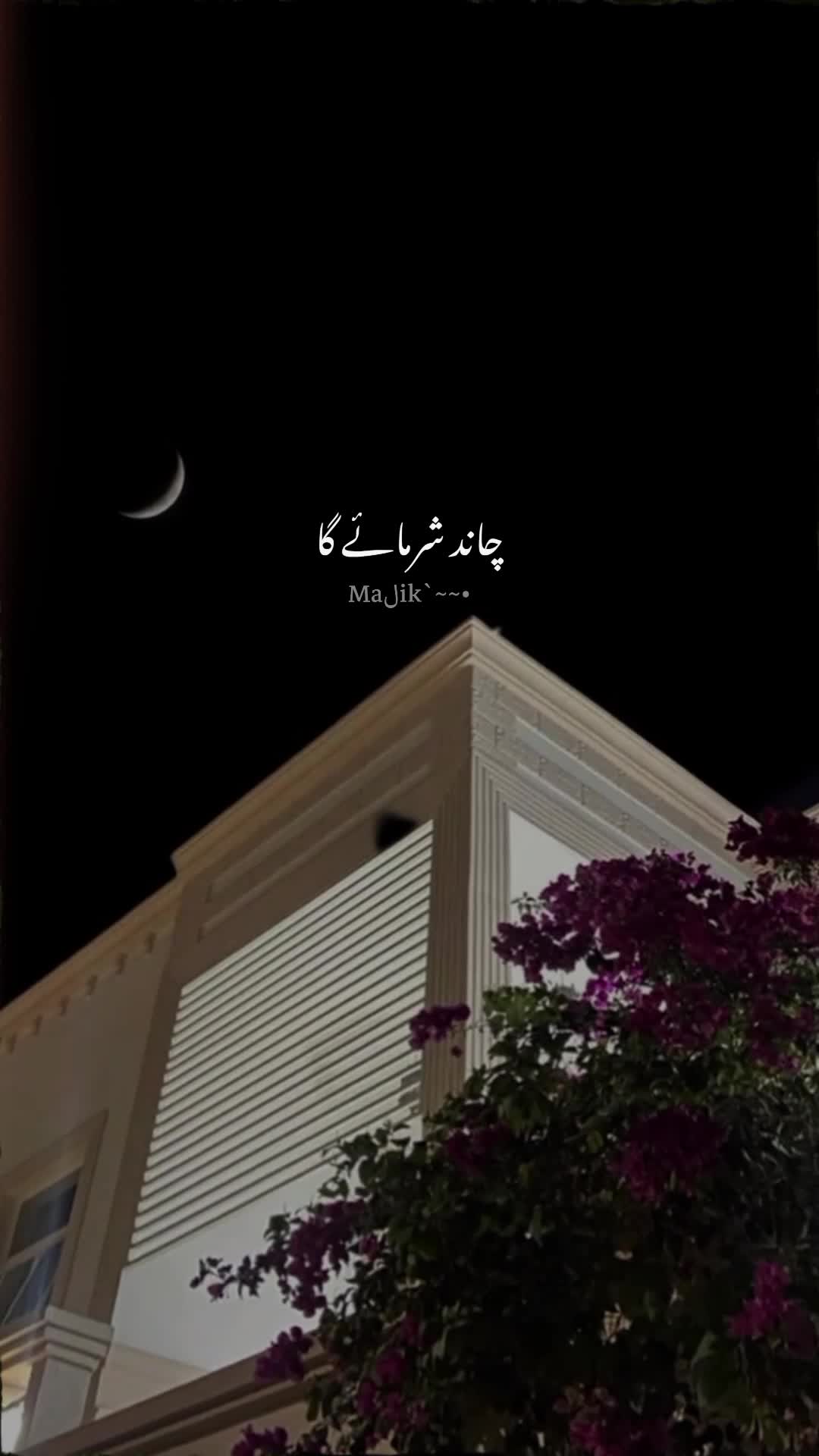 @Maلik`~~&bull;💸