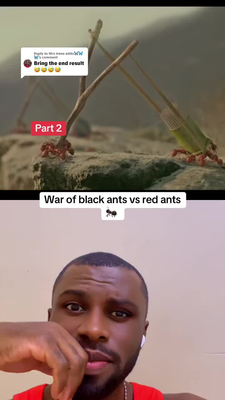 @STEVE 🇬🇭🔱👑