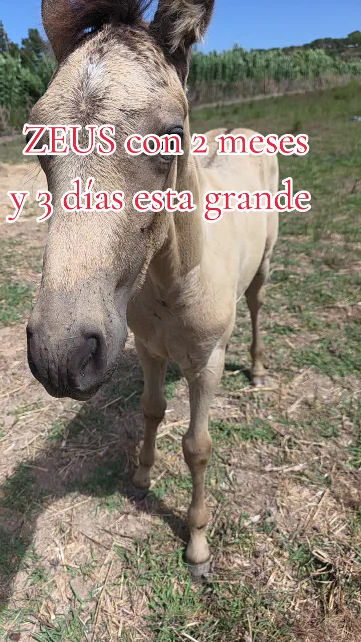 @@rinconlatino