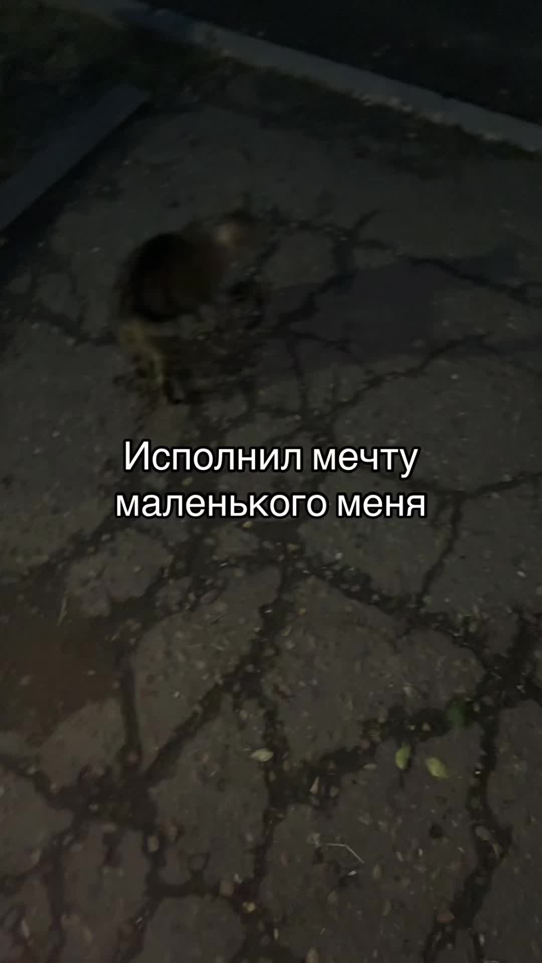 @похоть