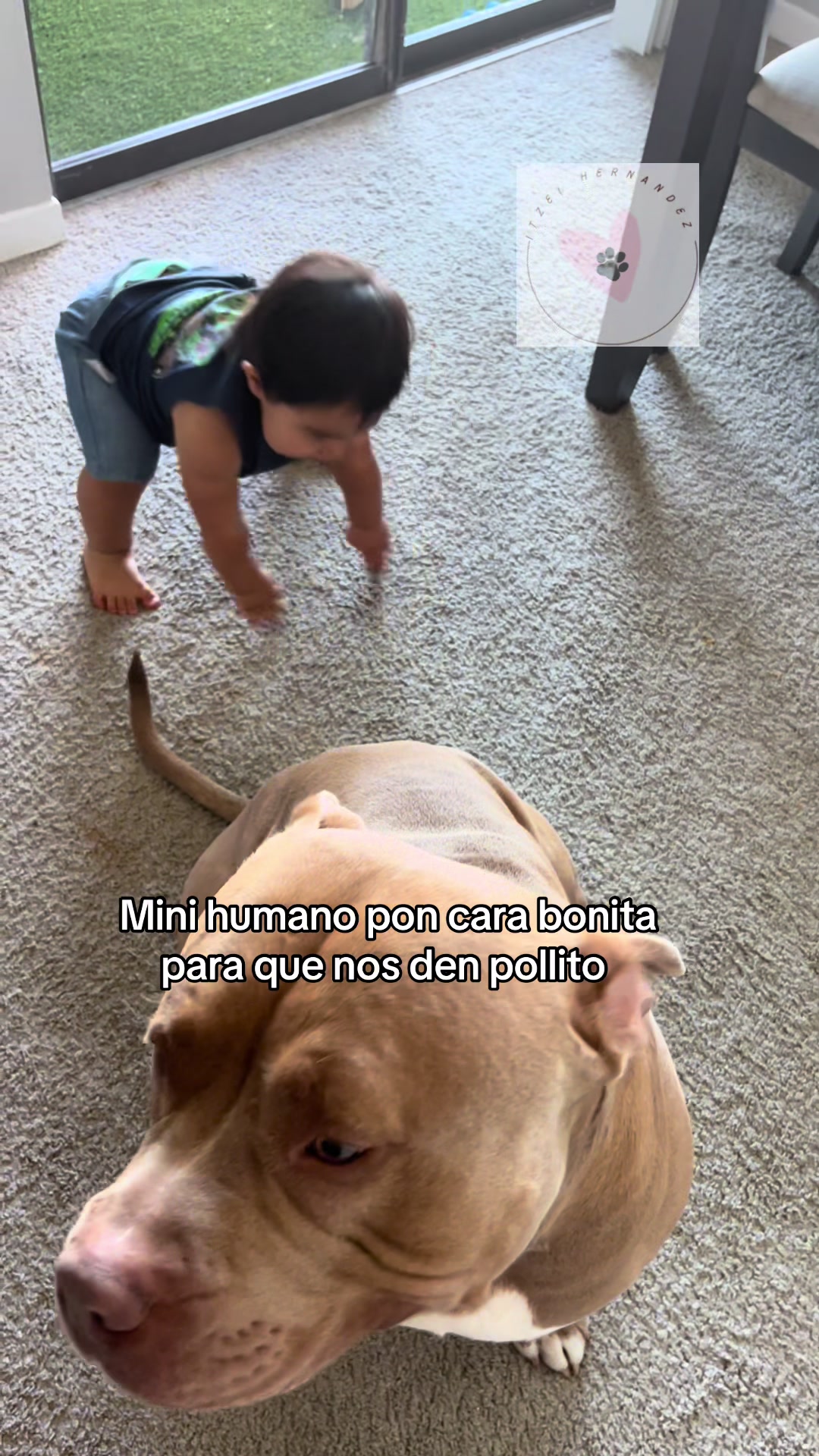 @Itzel ✨