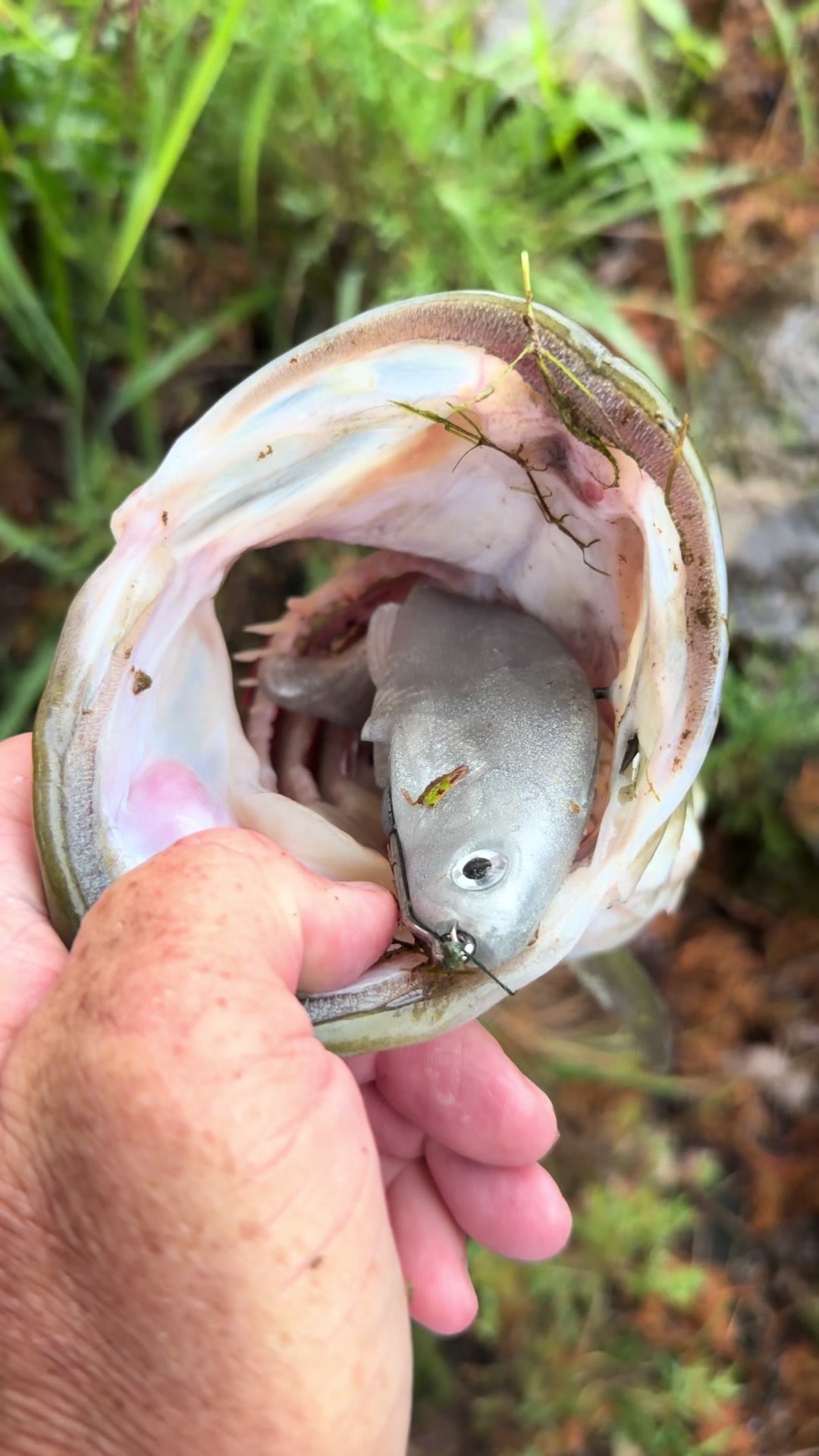 @Tacklehead Fishing