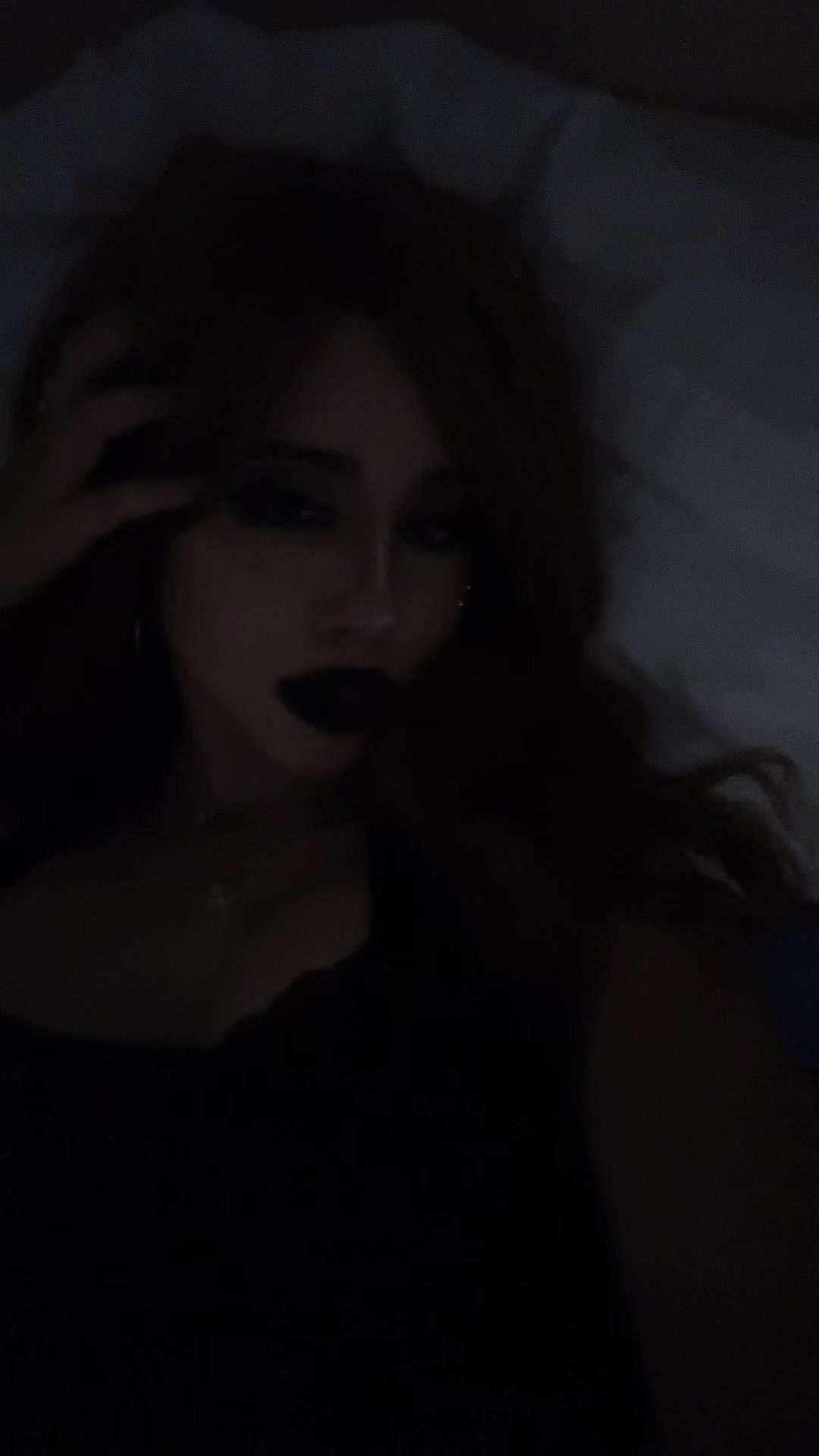 @chatdinosaure