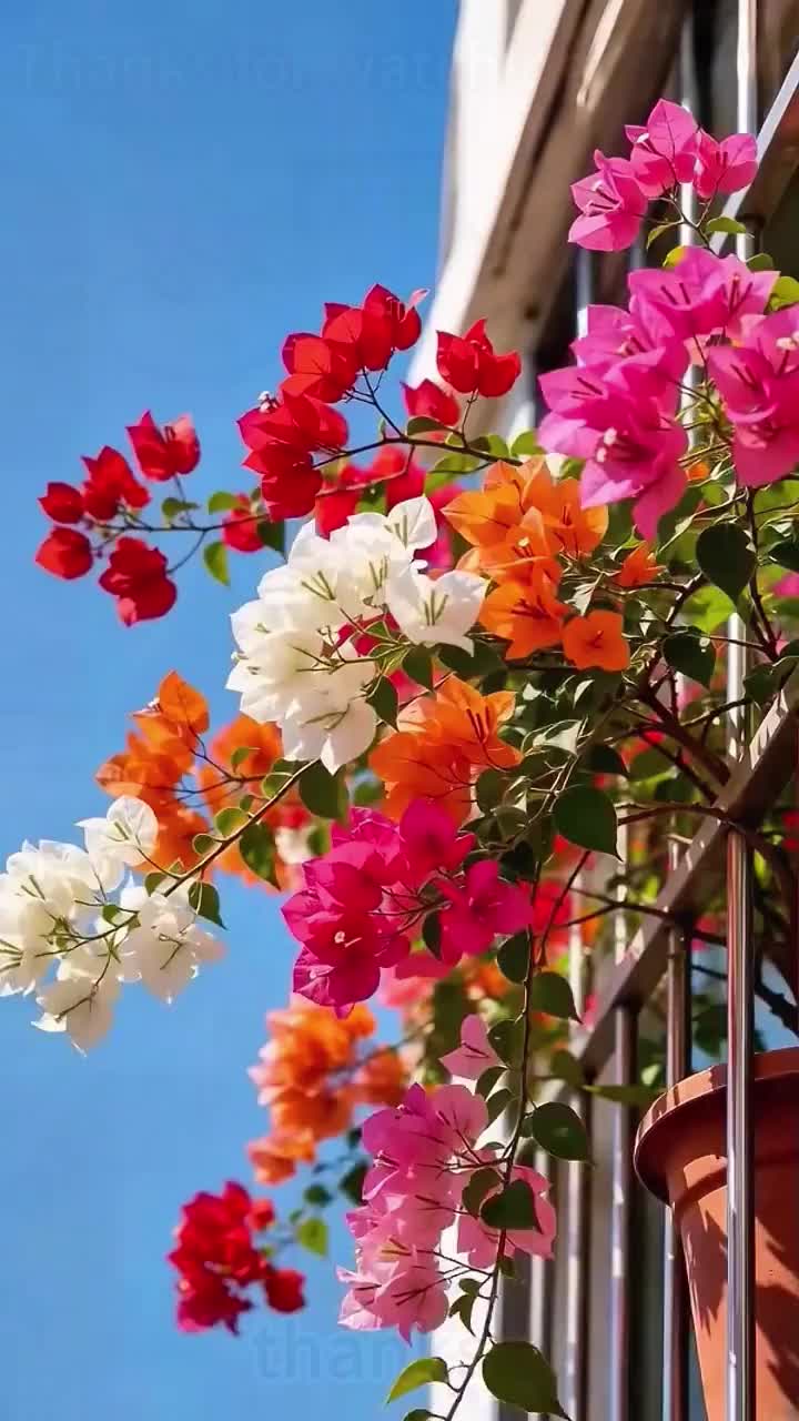 @marvinchen2b71
