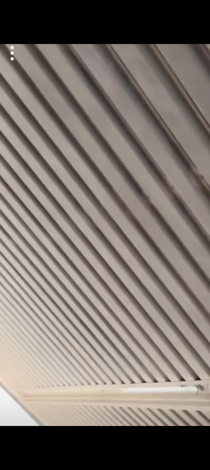 @مخلد👑