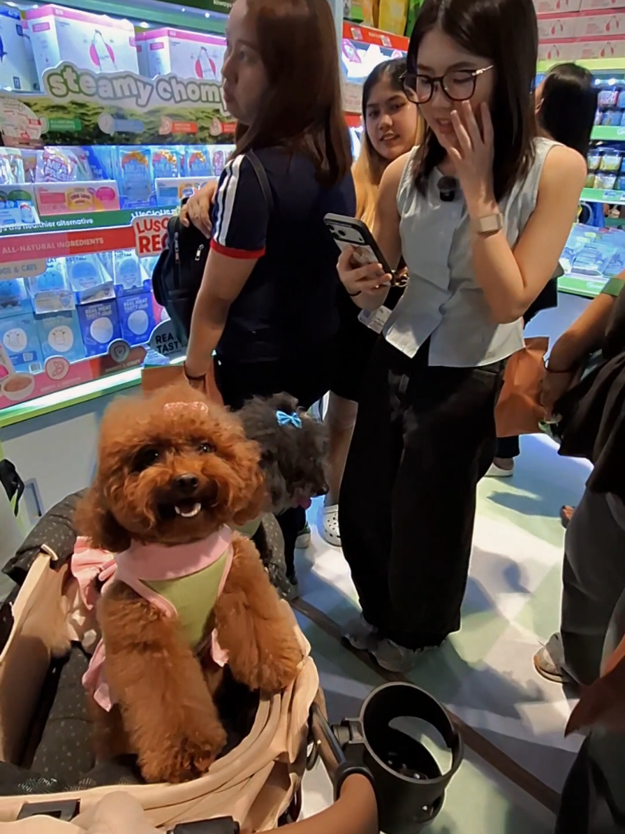 @Maisy Mouse 🐩🐾❤️🇵🇭