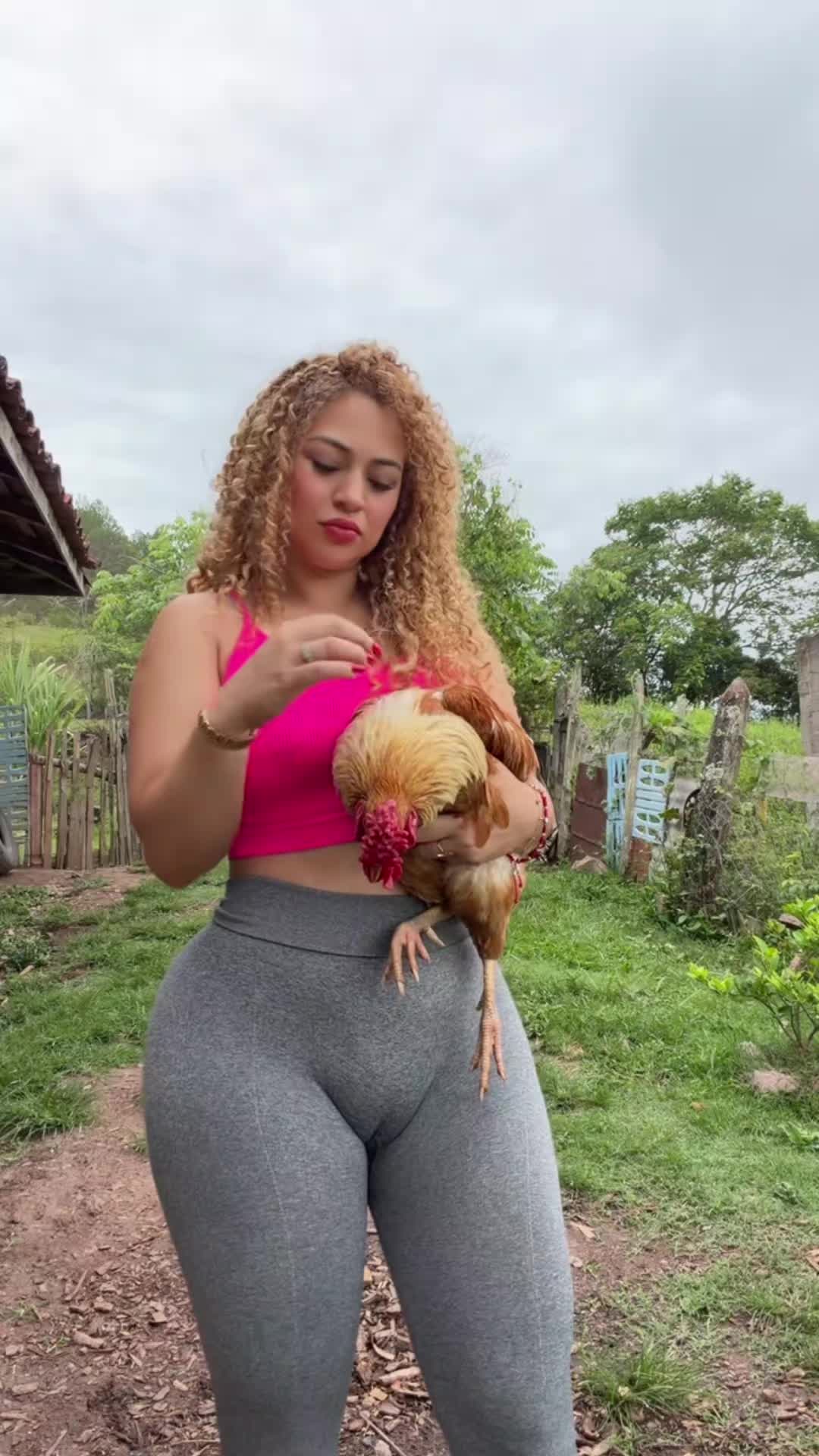 @mirelatapeta71yk