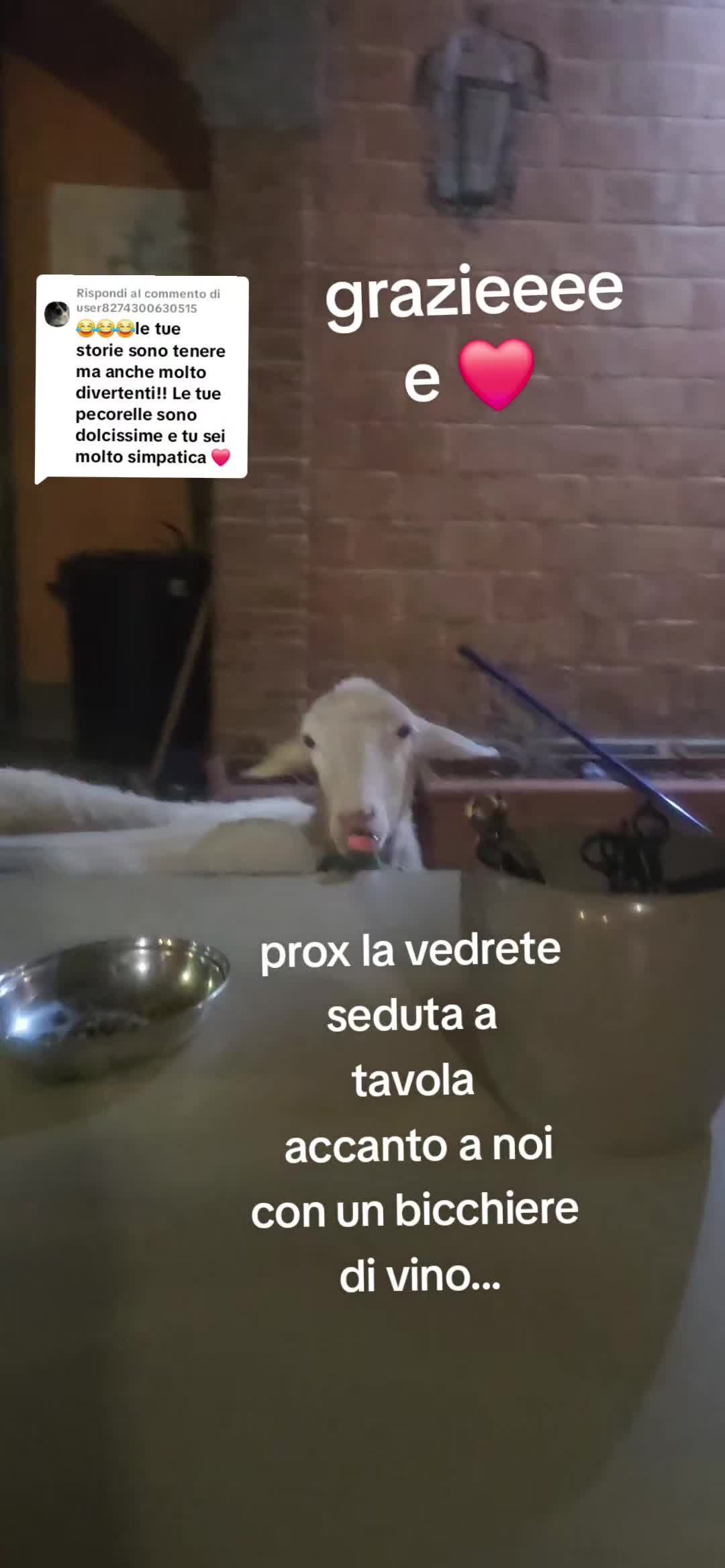 @❤chicca.260❤