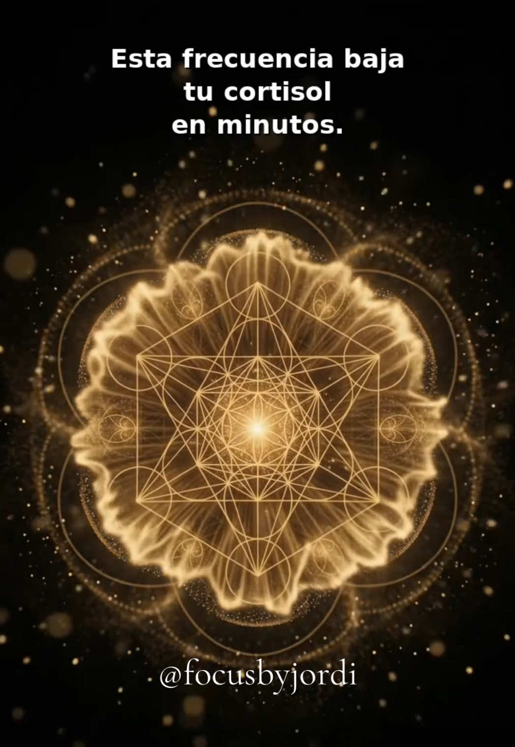 @Jordi | Neurociencia Musical