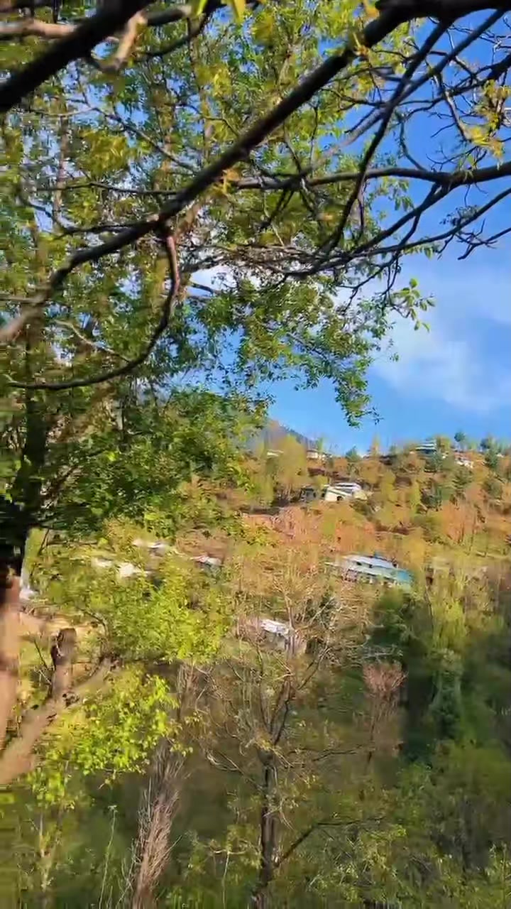 @❤️