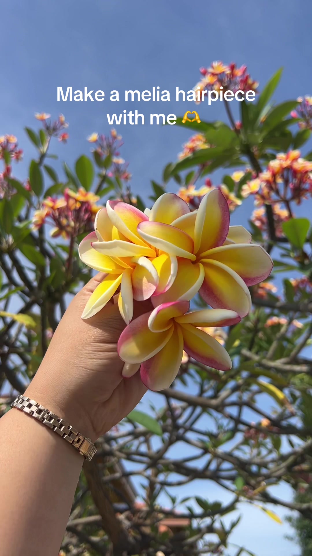 @Logan 🌺