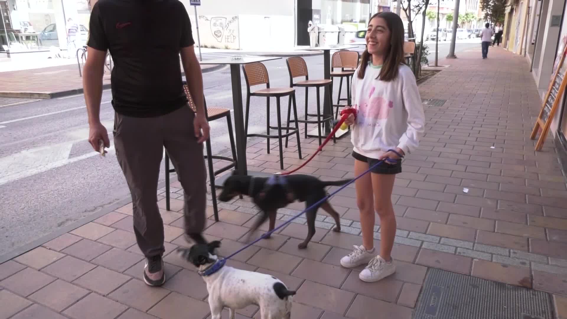 @ComarcalTV