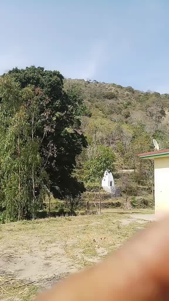 @Bittu Saini Pabla