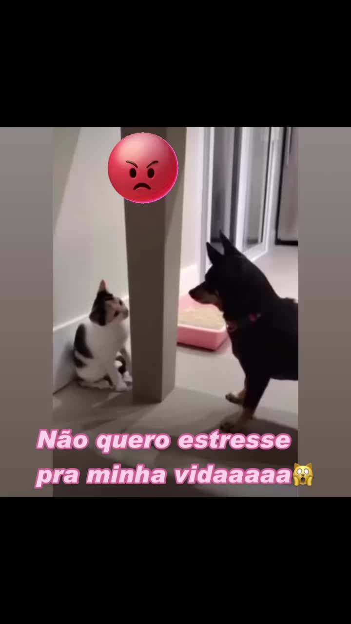 @souzamar