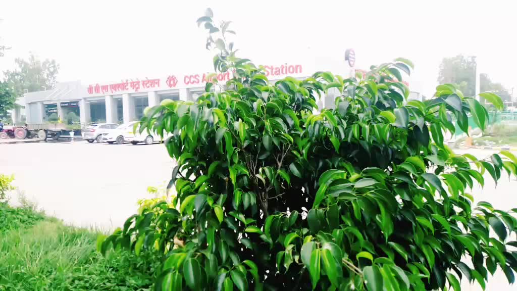 @TIGER PARVEJ VERMA