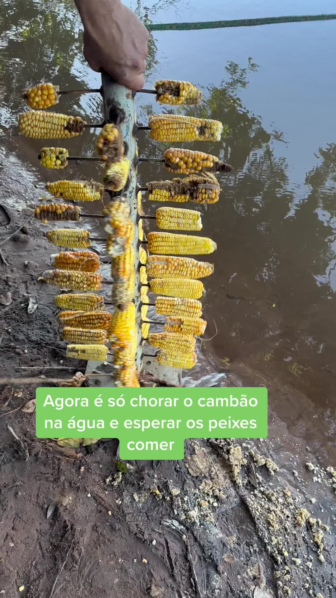 @R&eacute;gis Oliveira
