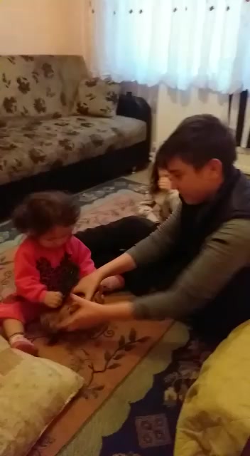 @BUSEM