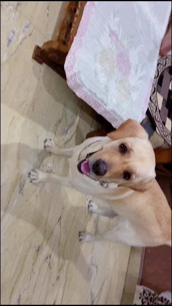 @user38530715122