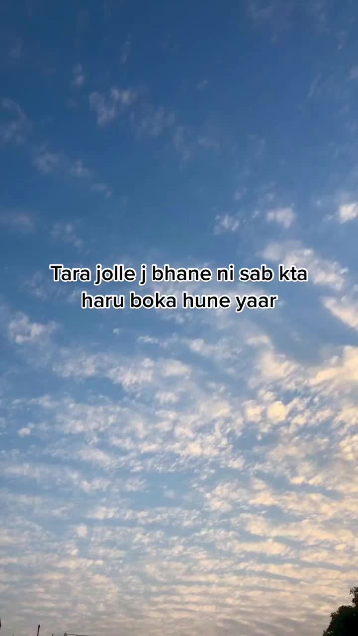 @hallelujah
