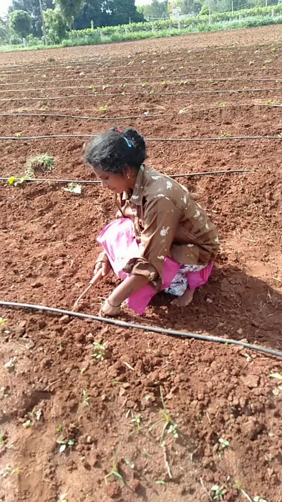 @Mala Santhosh