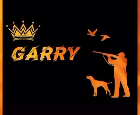 @Garry Chhina