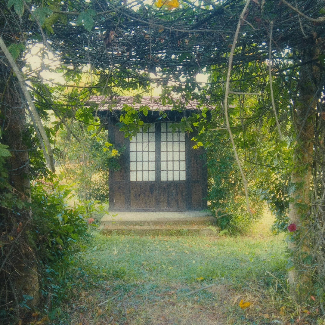 @𝐋𝐚𝐢𝐥𝐚 ☽⋆✧*̣̩