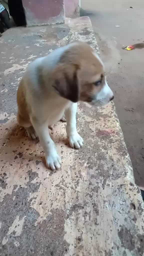 @sweet_prapti_