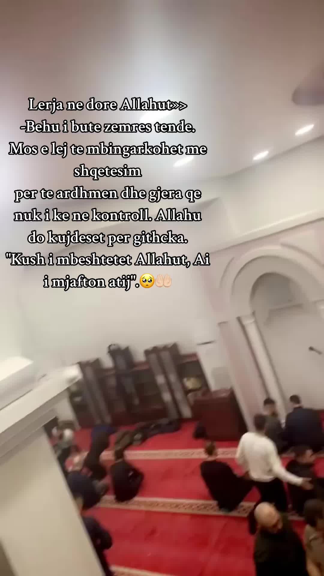 @Syt e tu i kom bo tatoo🥺🤍