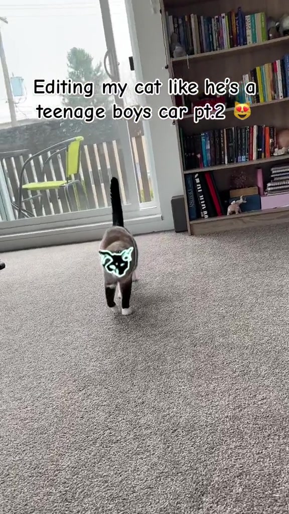 @BockZ