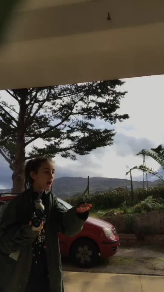 @Alessia V. Di Grazia