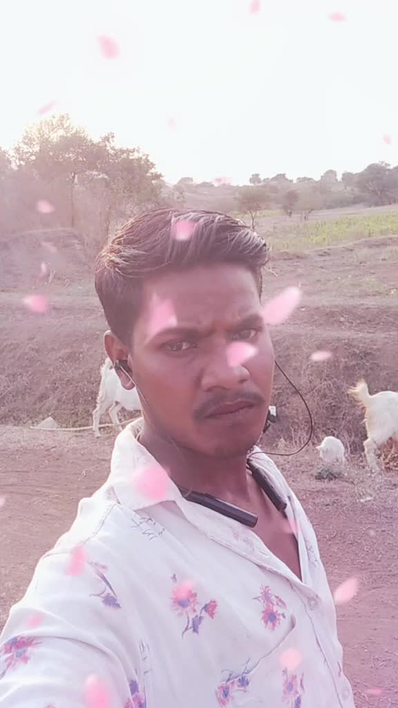@user1907151294556