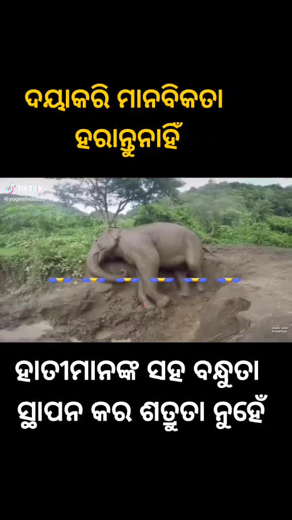 @Krushna C.H Pradhan