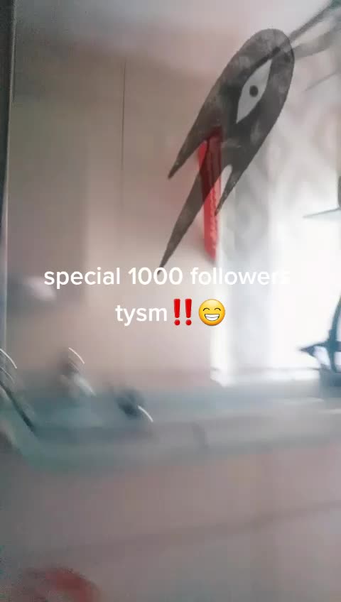 @pigeon