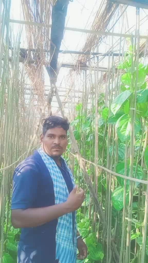 @Kumar Sanjaya