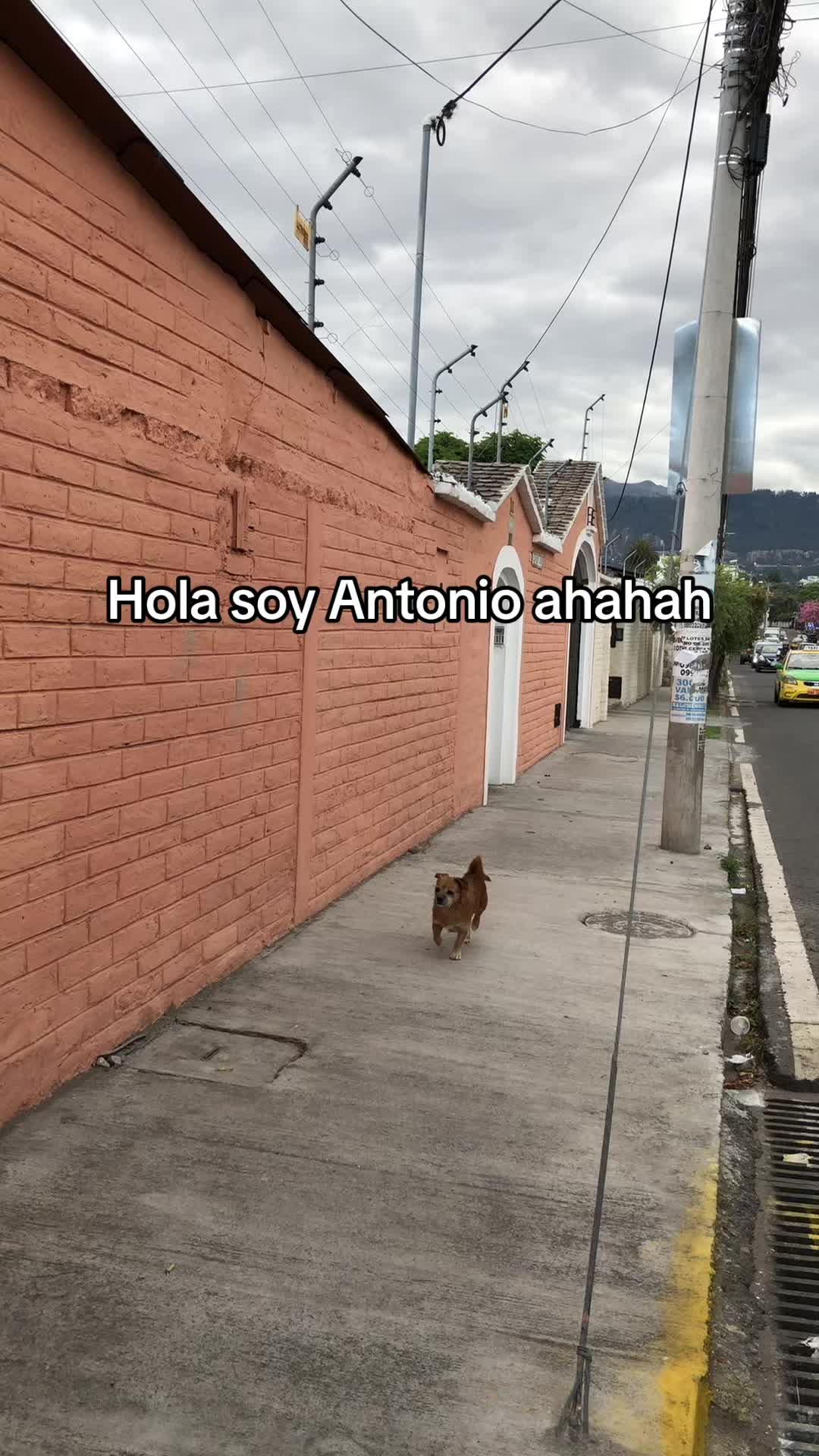 @amigosdelucas