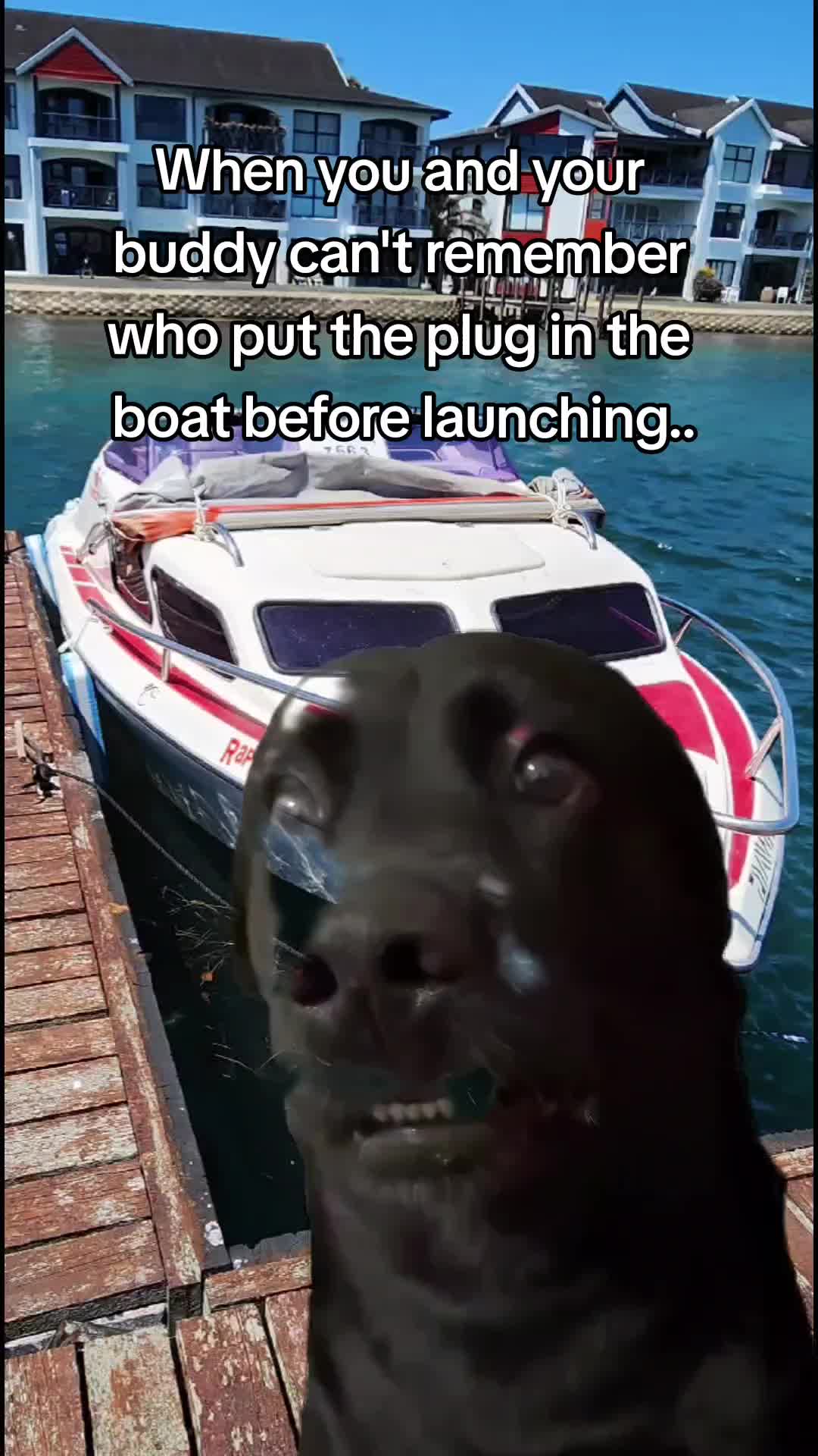 @user62569257794
