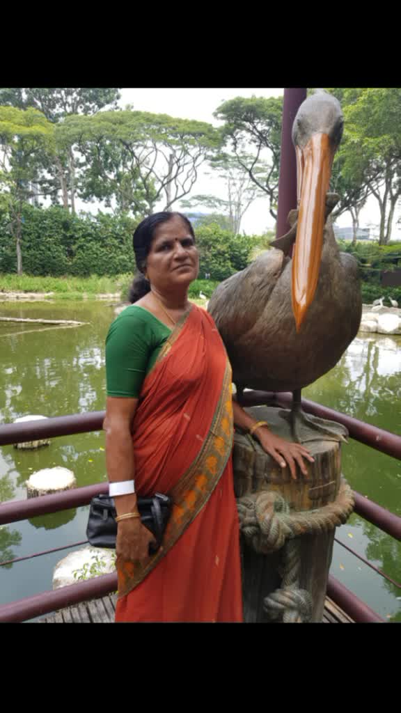 @Vijin❤️Mynah