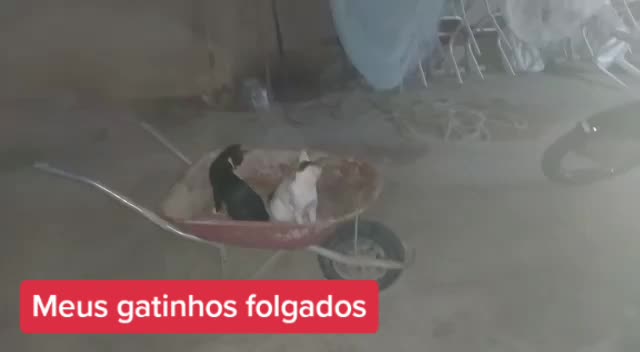 @Valdirene Silva