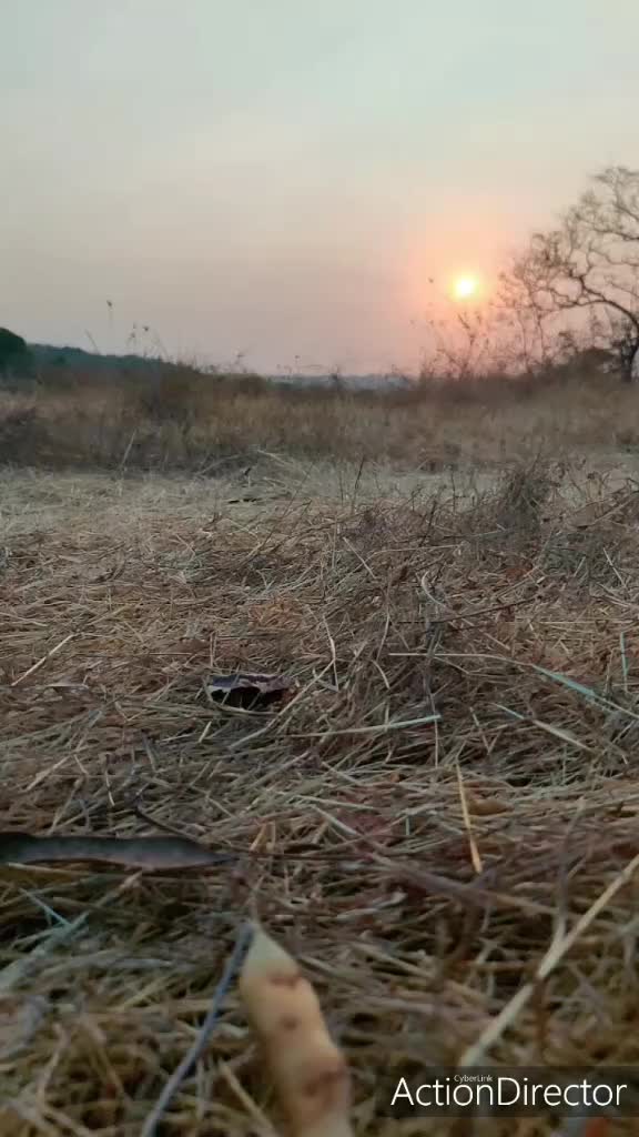 @Energetic star