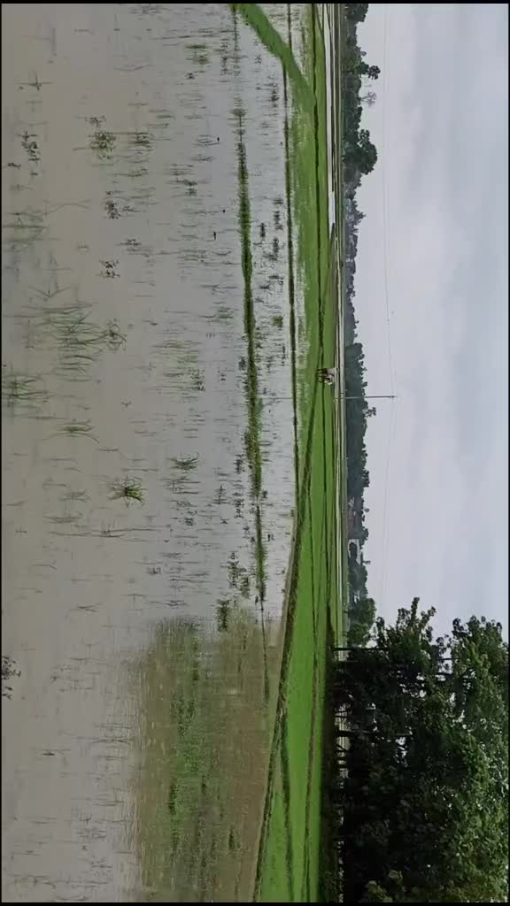 @Jitu bhai