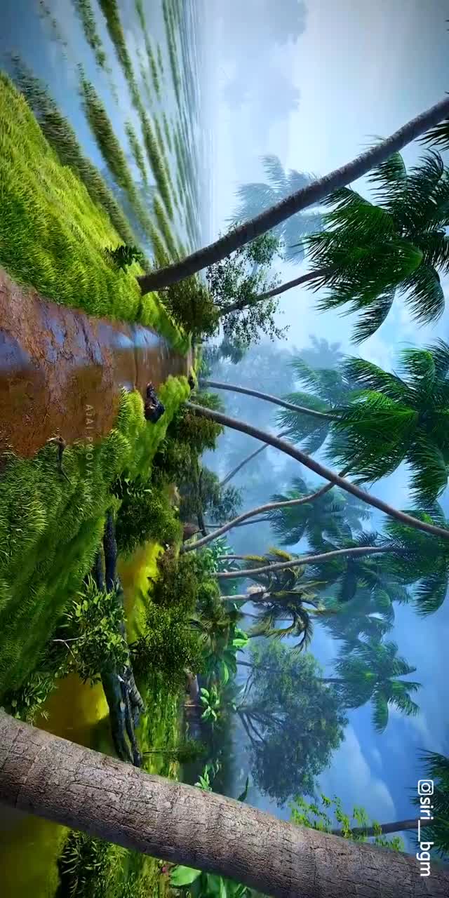 @123chilli