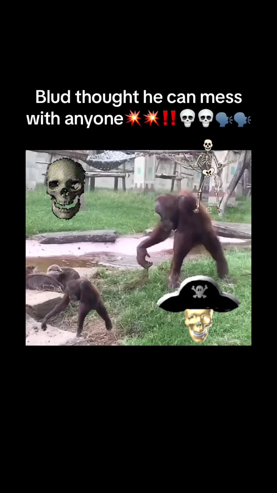 @NoCode_12