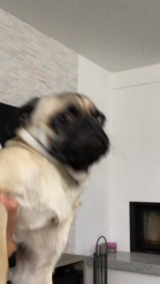 @toby