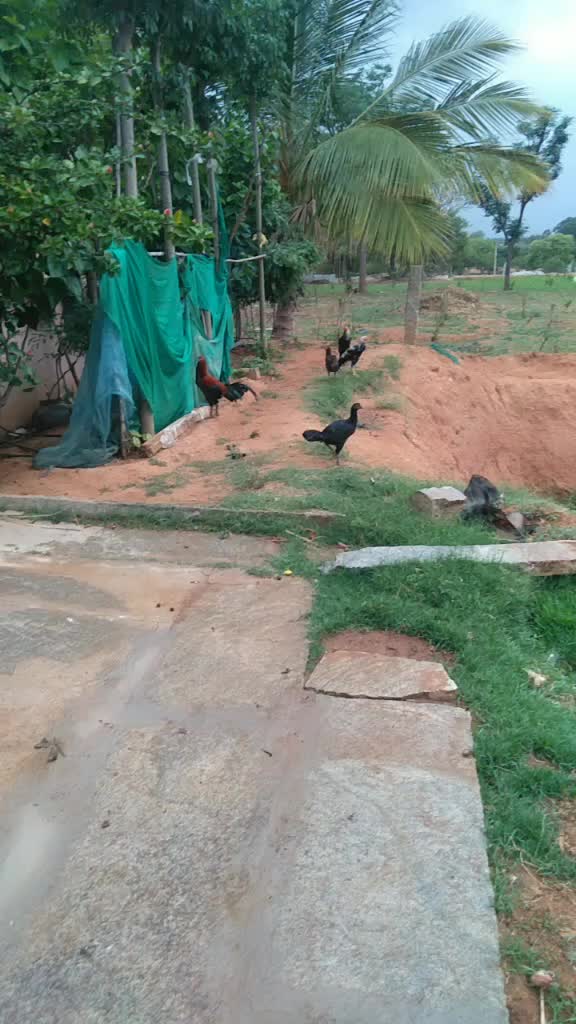 @Venkat kolar